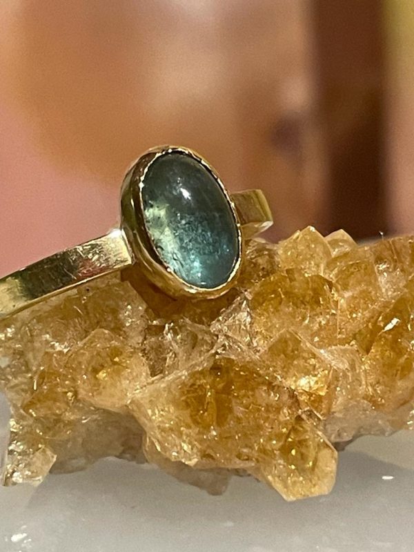 Gouden Ring Met Blauwe Toermalijn Vanessa Belgers